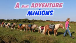 8 Mini Ponies Goes to Minions