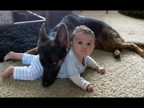 Babies Making Funny Faces Compilation 2013 – 1Funny.com