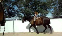 Sianna & Cessna – 3 Year Old Girl Riding 16.3 Hand Horse