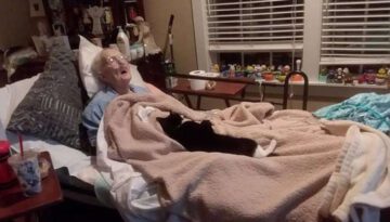 Cat Refuses To Leave Bedside Of Dying Grandma Who Raised Her