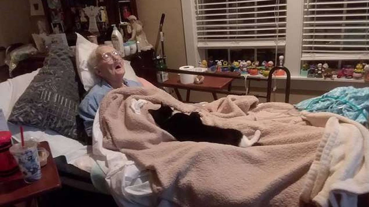 Cat Refuses To Leave Bedside Of Dying Grandma Who Raised Her – 1Funny.com