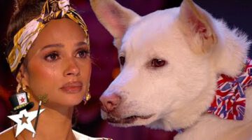 Judges Cry Over Emotional Dog Magic Act on Britain’s Got Talent
