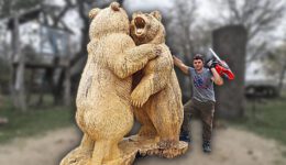 Wooden Real Size Fighting Grizzly Bears, Chainsaw Wood Carving