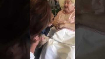 Hospitalized Lady Cheers Up at Seeing Her Dog in Hospital Room