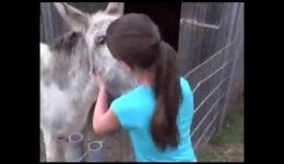 Reaction of a Donkey Right After See the Girl Who Raised Him