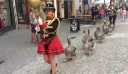 Geese Marching Band