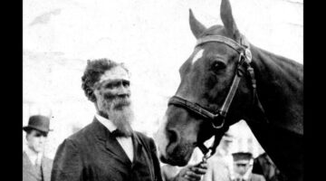 The Smartest Horse That Ever Lived – A True Story