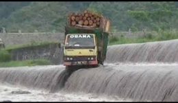 Amazing Dangerous Fastest Logging Wood Truck Operator Skill