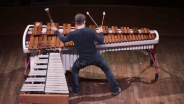 Amazing Marimba and Vibraphone Player