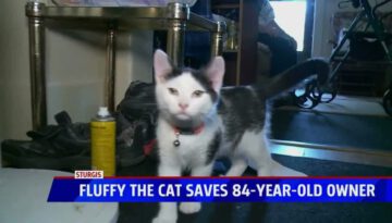 Cat Saves Man’s Life After Fall