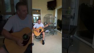 Stairway to Heaven With a Parrot on Vocals