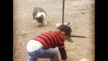 Kid and Puppy Playing Baseball Together