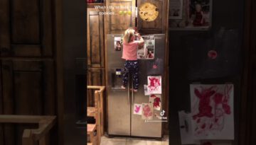 Little Girl Climbs Fridge: Mission Possible for This Cookie Thief