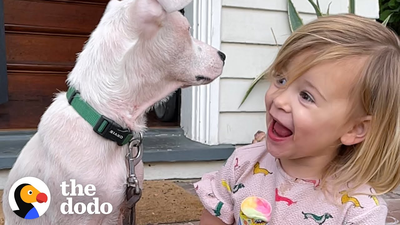 2-Year-Old Girl Convinces Her Mom To Adopt A Deaf Puppy