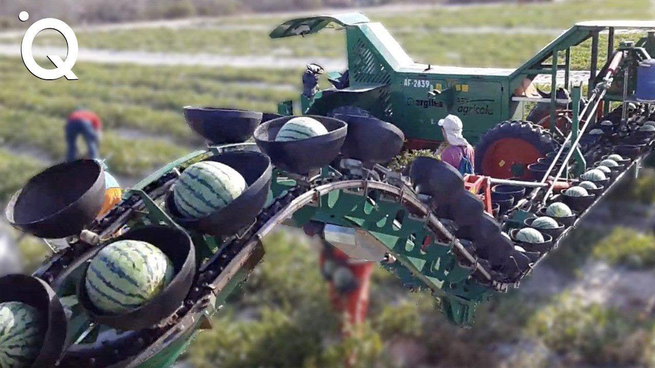 Modern Agriculture Machines That Are At Another Level – 6