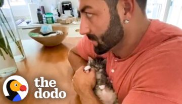 Phone-Sized Kitten Turns Guy Into A Cat Person