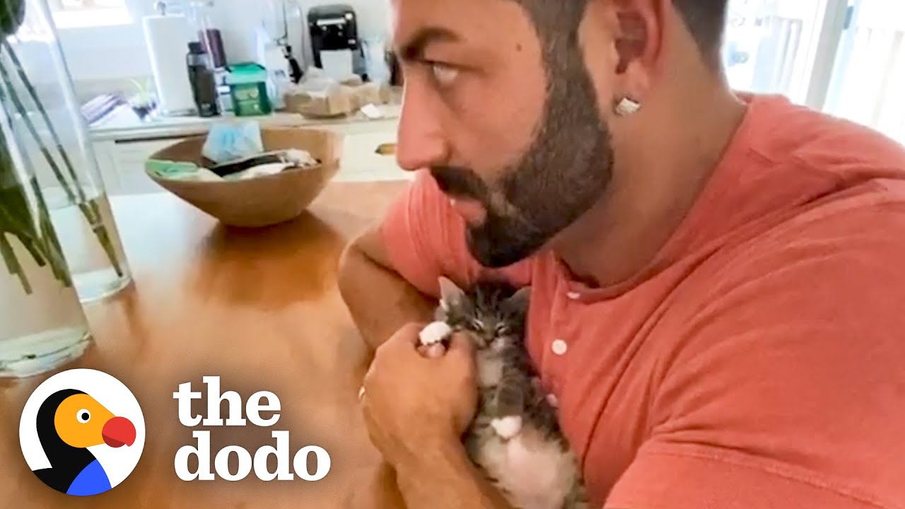 Phone-Sized Kitten Turns Guy Into A Cat Person