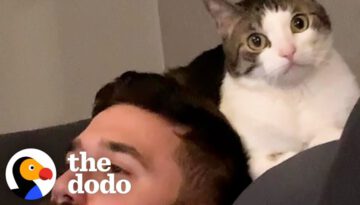 Woman Becomes Third Wheel In Her Cat And Husband’s Relationship