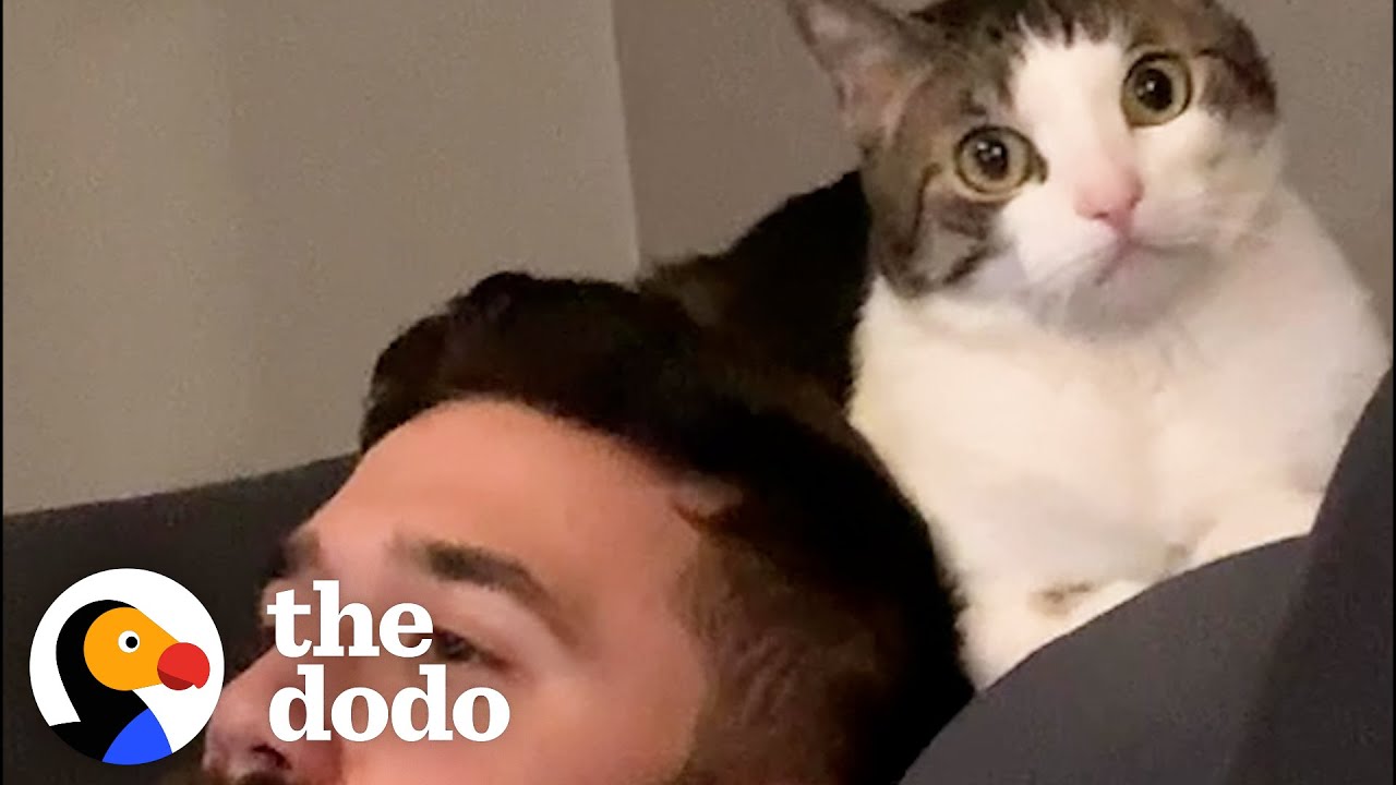 Woman Becomes Third Wheel In Her Cat And Husband’s Relationship