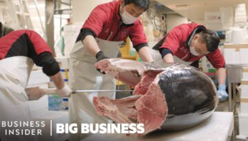 600 Pound Tuna Fish Sells For 3 Million Dollars