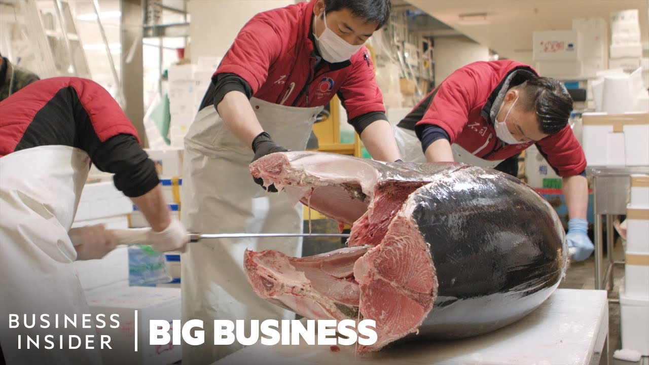 600 Pound Tuna Fish Sells For 3 Million Dollars