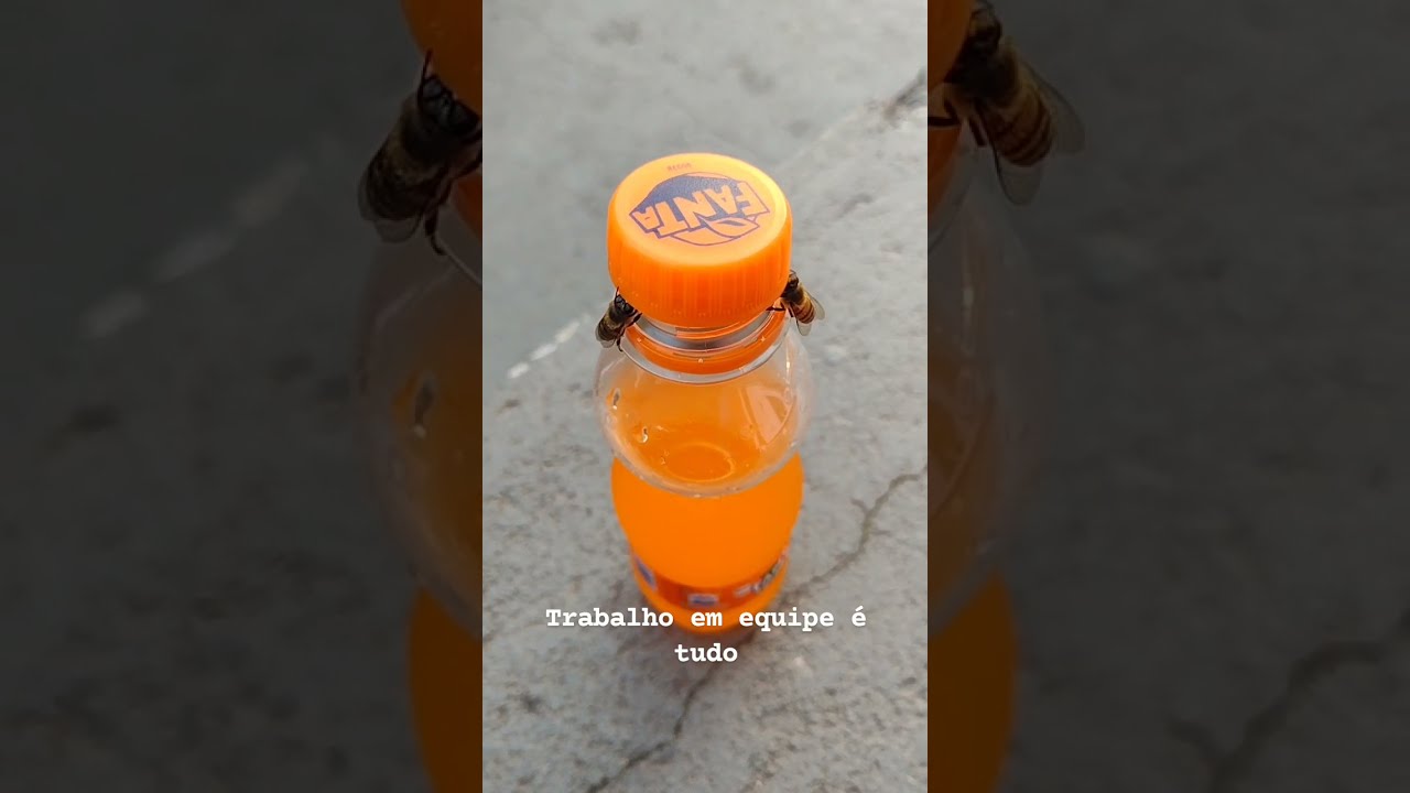 Bees Opening a Soda Bottle