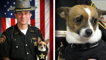 World’s Smallest Police Dog Dies of Heartbreak