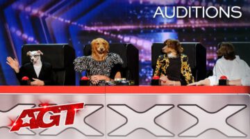 Incredible Dogs Hilariously Imitate The AGT Judges