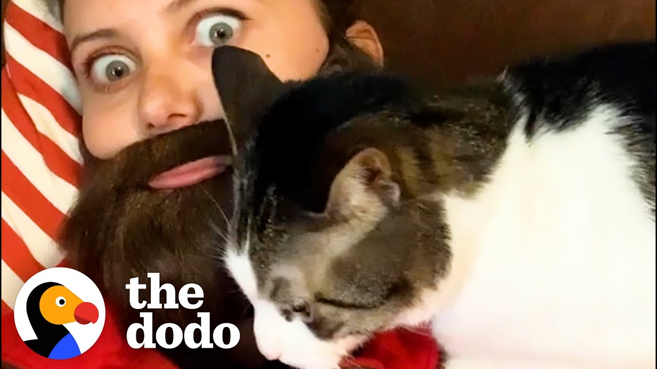 Cat Prefers Dad To Mom — So Mom Starts Wearing Fake Beards