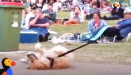 Dog PLAYS DEAD to Avoid Going Home While Park Crowd Watches
