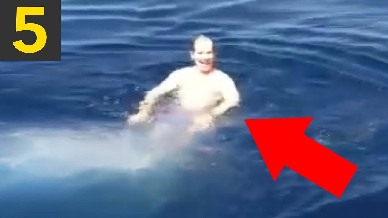 Top 5 SHARK Close Calls