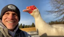 Watch How Duck Reacts to Kisses From Man Who Rescued Him