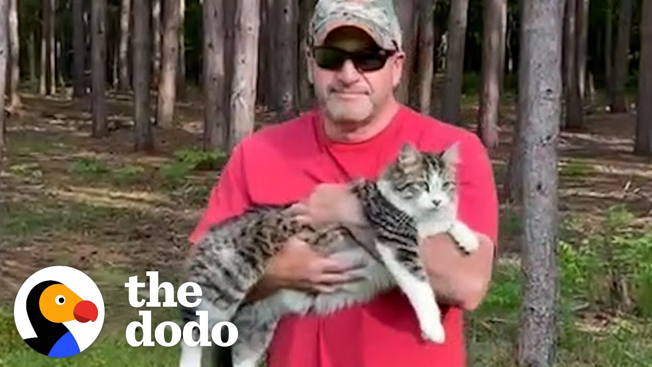 Cat Becomes Totally Obsessed With His ‘Dog Person’ Dad