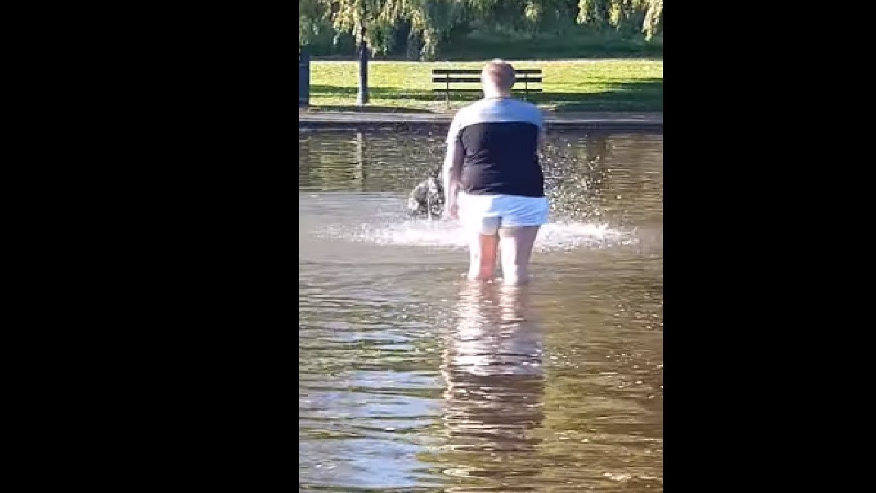 Dog Having a Blast at the Pond