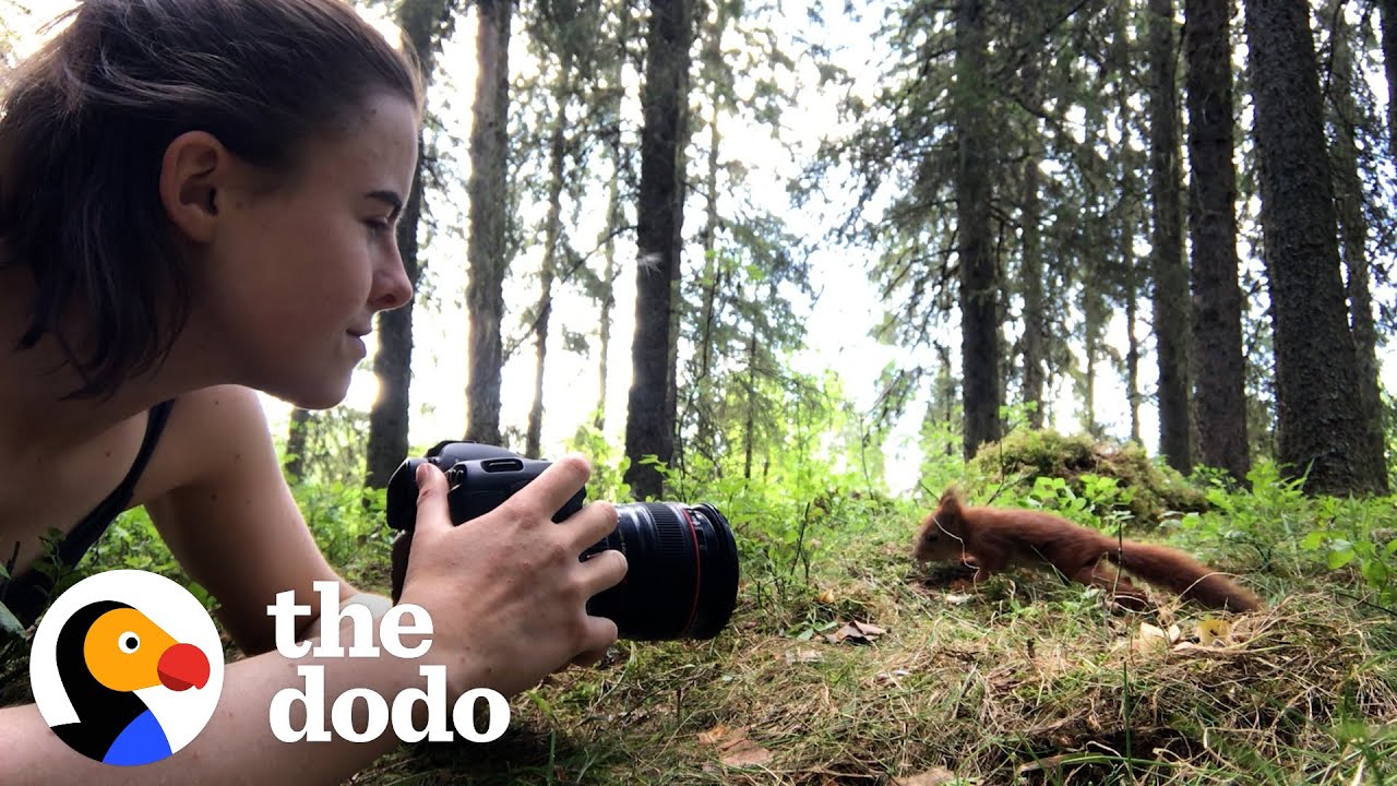 Girl Raises Four Orphaned Baby Red Squirrels In The Middle Of The Forest