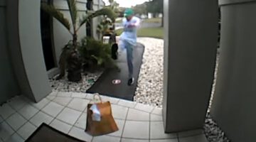 He Delivered Some Food and then Kicked It