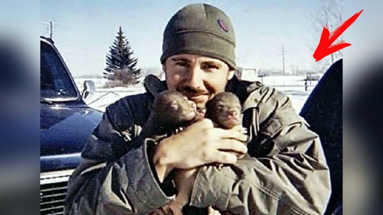 Man Rescues Bear Cub and Takes It Home With Him