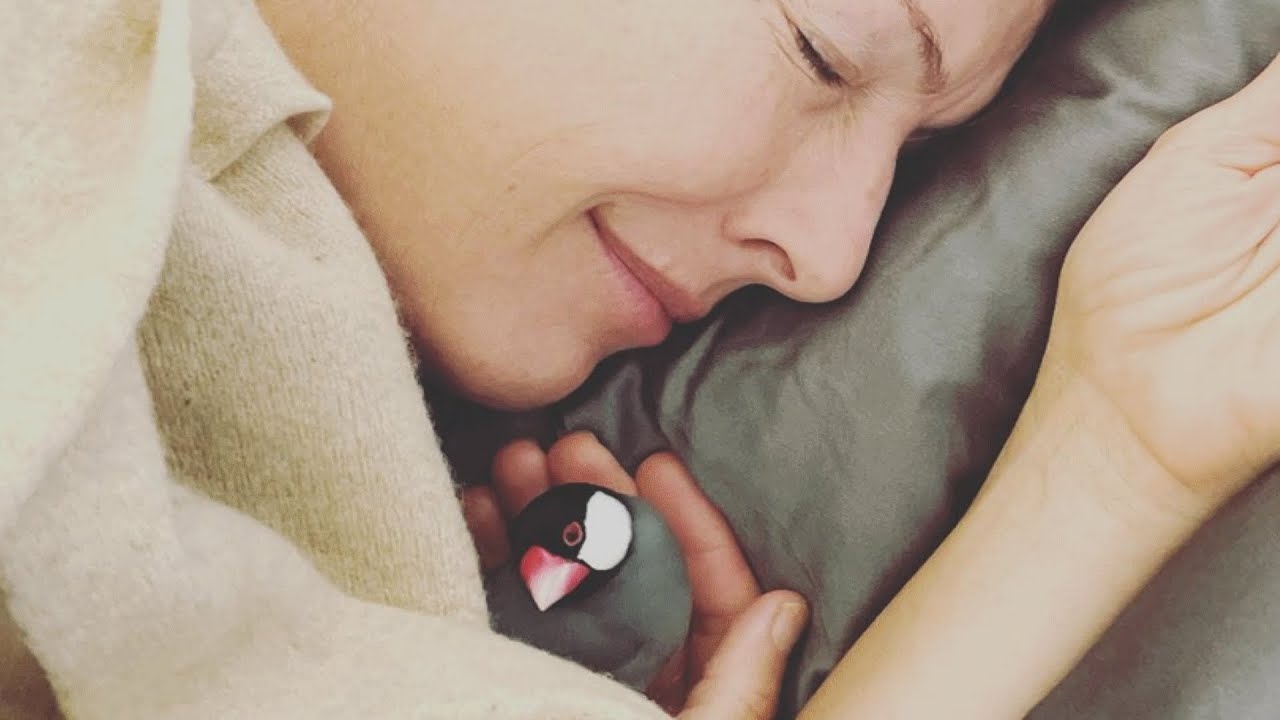 Every Sunrise, This Bird Visits a Woman for Cuddles