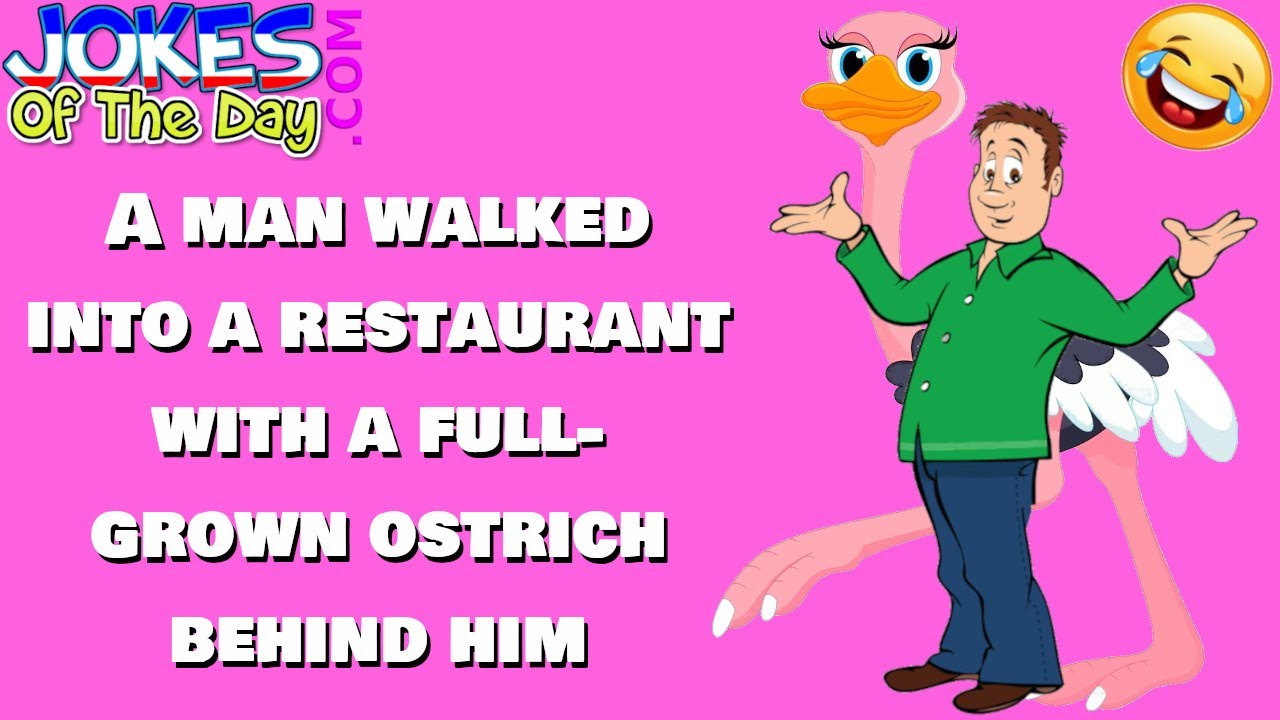 Funny Joke: A Man Walked Into a Restaurant With a Full Grown Ostrich Behind Him