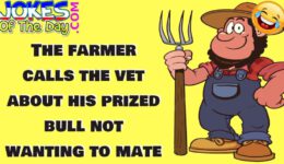 Funny Joke: The Farmer Calls the Vet About His Prized Bull