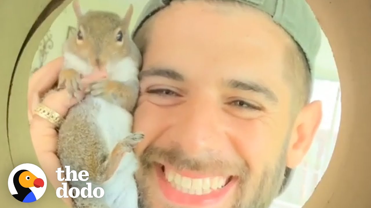 Guy Tried To Release His Rescue Squirrel But She Always Came Back