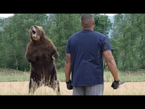 Mother-Bear Asked the Hunter for Help