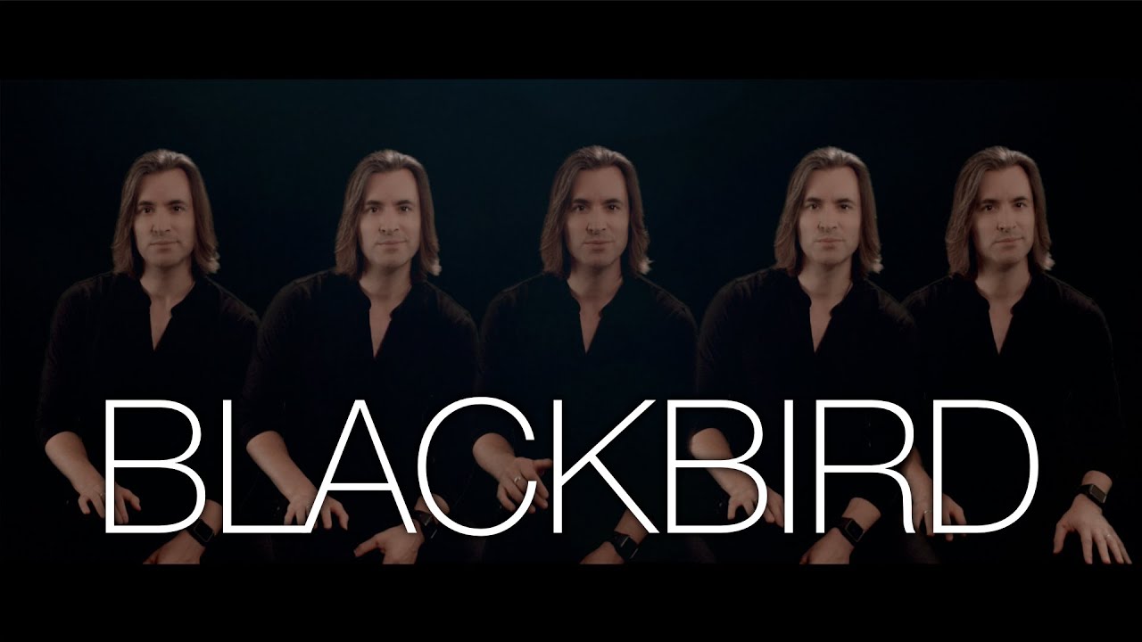 ‘Blackbird’ by The Beatles – Bass Singer Cover