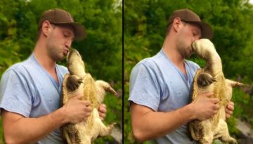 Do NOT Try to Kiss a Snapping Turtle!