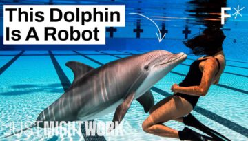 Robotic Dolphins Could End Animal Captivity in Zoos and Marine Parks