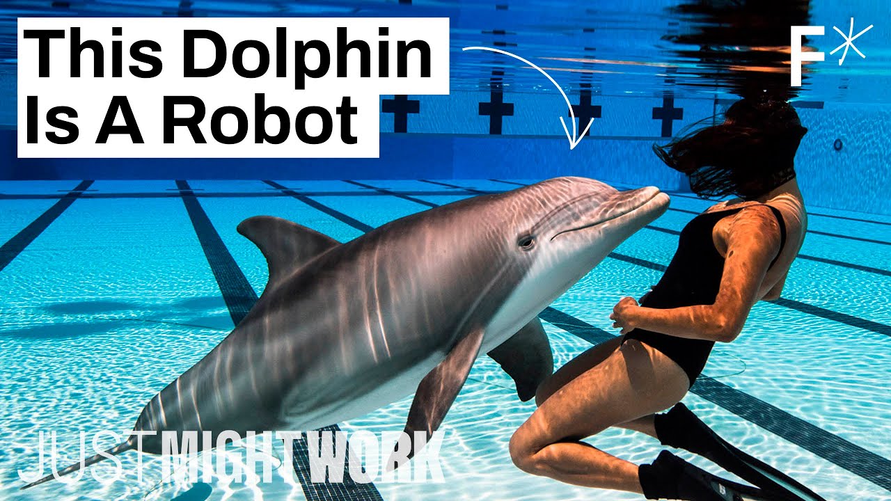 Robotic Dolphins Could End Animal Captivity in Zoos and Marine Parks