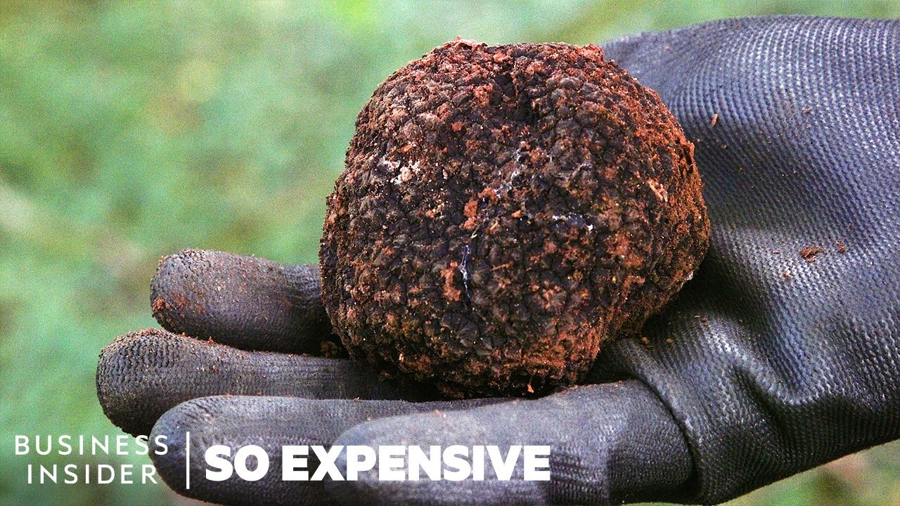 Why Real Truffles Are So Expensive?