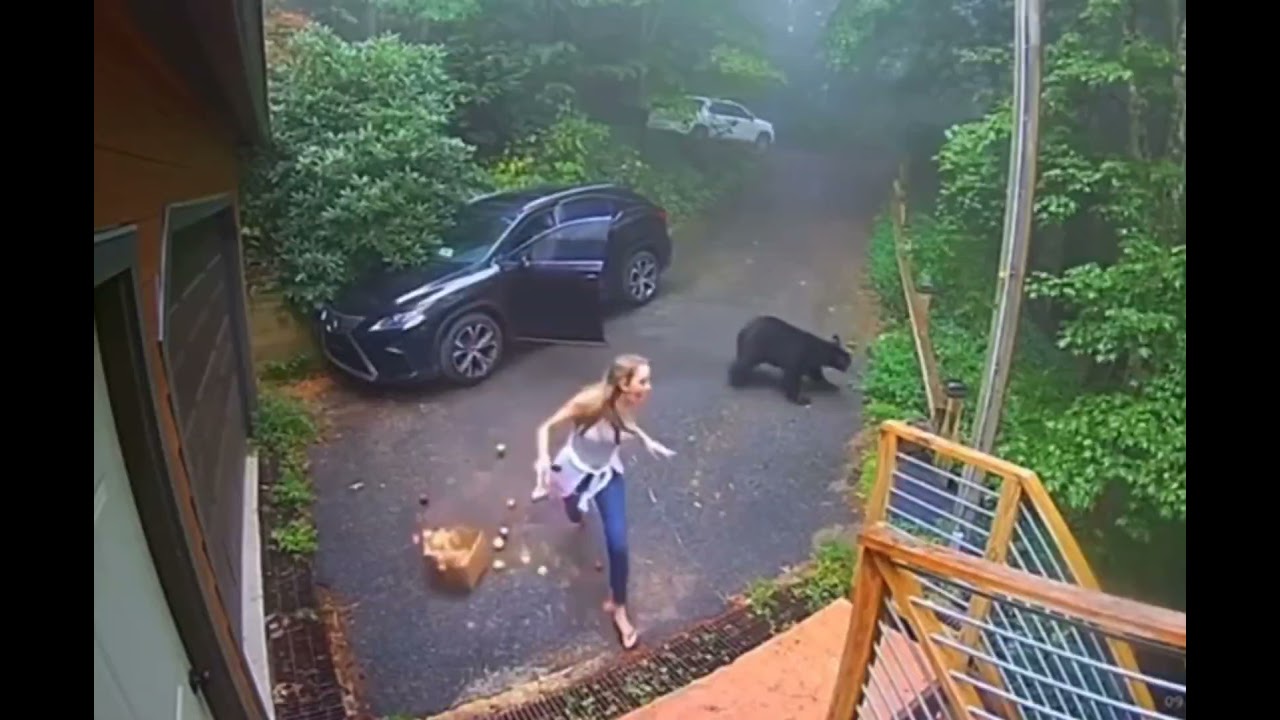 Woman Finds Bear in Her Car