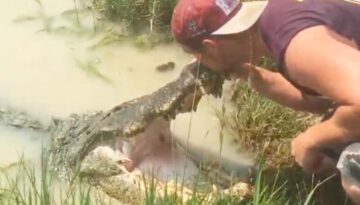 Man Kisses Alligator – Only In Florida