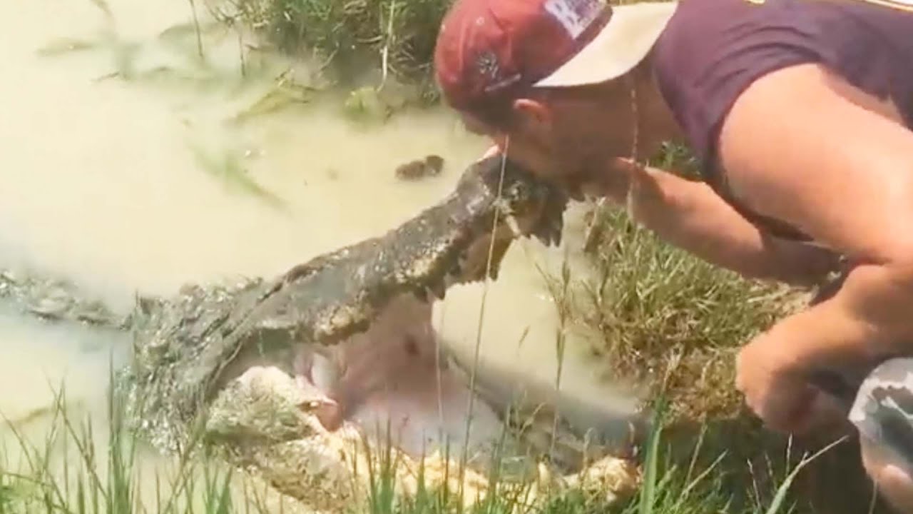 Man Kisses Alligator – Only In Florida